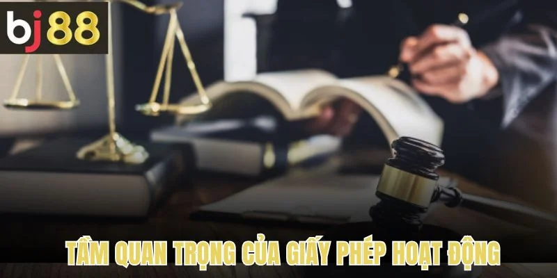 Giấy Phép Hoạt Động 2 Tầm quan trọng của giấy phép hoạt động đối với các nền tảng